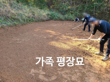 대성장묘 이미지