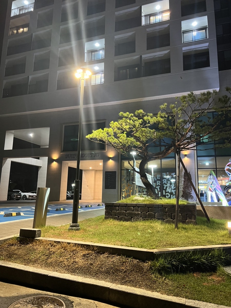 블루12양양서프 이미지