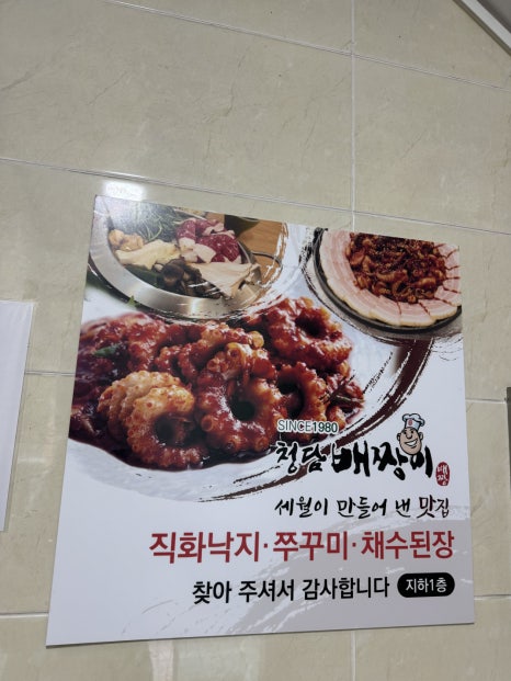 청담배짱이 이미지