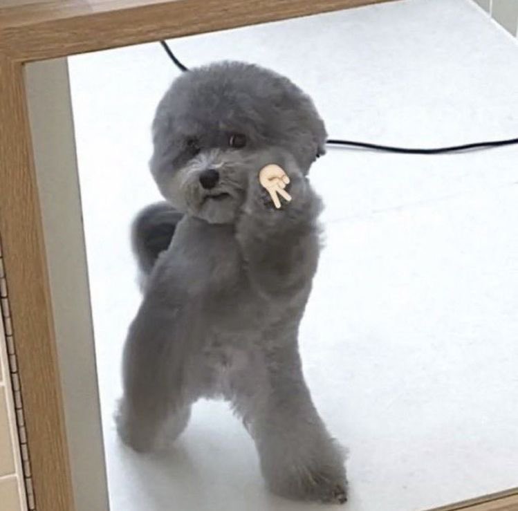 홍등원 이미지