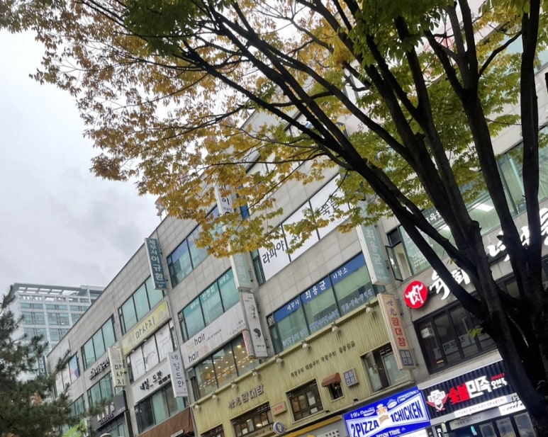 세광양대창분당 이미지