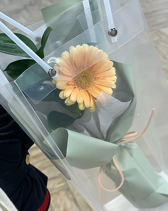 꼬시다;꽃 이미지