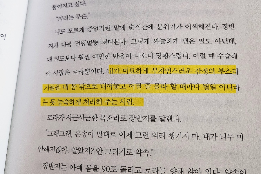 로라시스터 이미지
