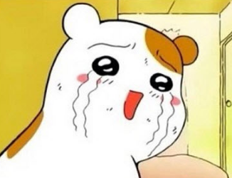 머슬팩토리24 이미지