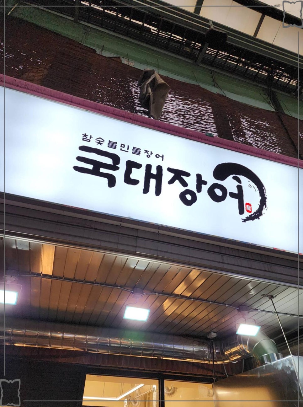 국대장어 이미지