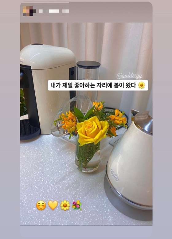 드림플라워 이미지