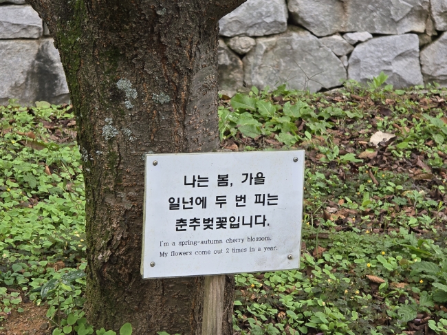 내소사 시골장터 이미지