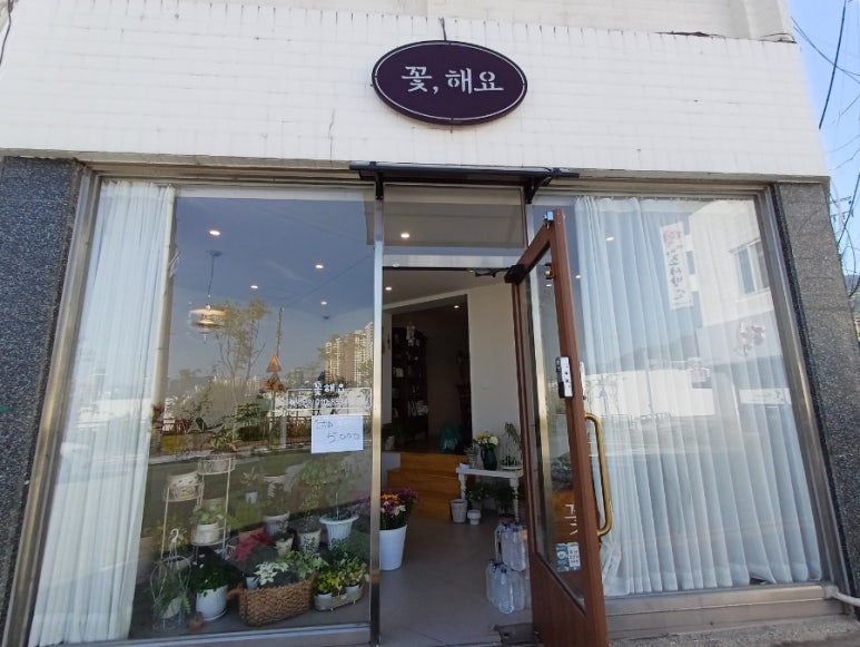 꽃해요 이미지