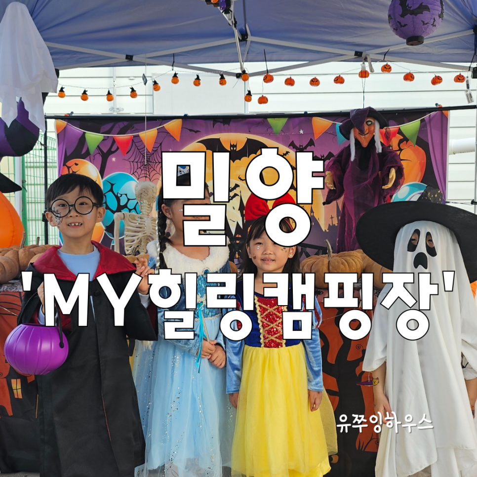 엠와이힐링캠핑장 이미지
