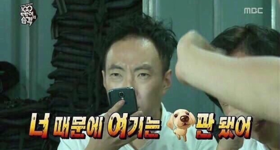 카페라임 이미지