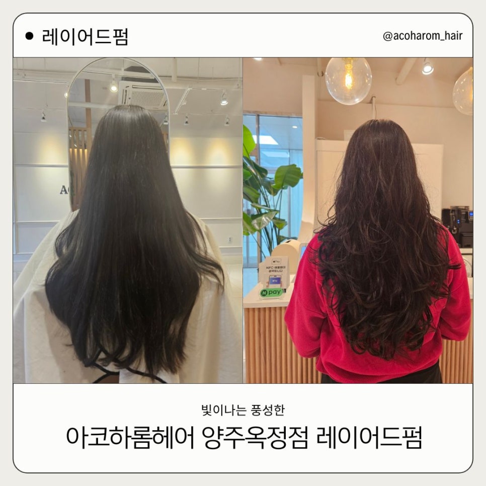 아코하롬헤어양주 이미지