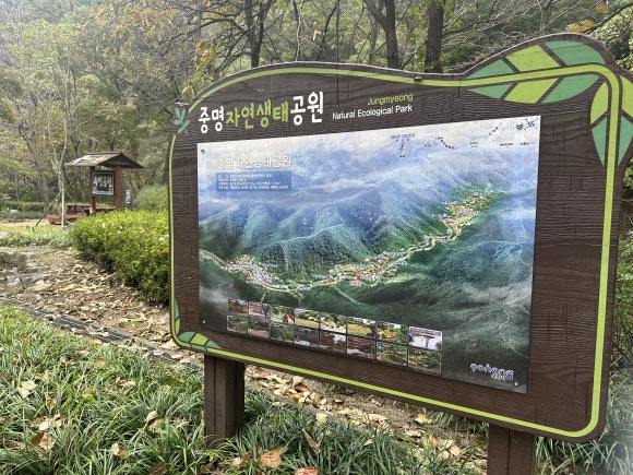 자연김밥 이미지