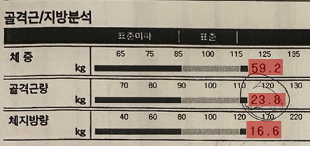 40피티 이미지