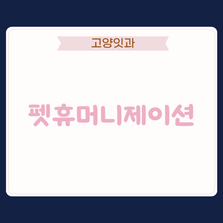 제이션 이미지