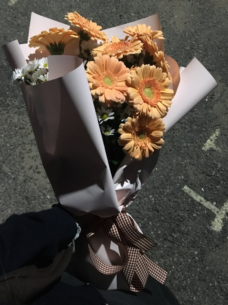 모그숨 이미지