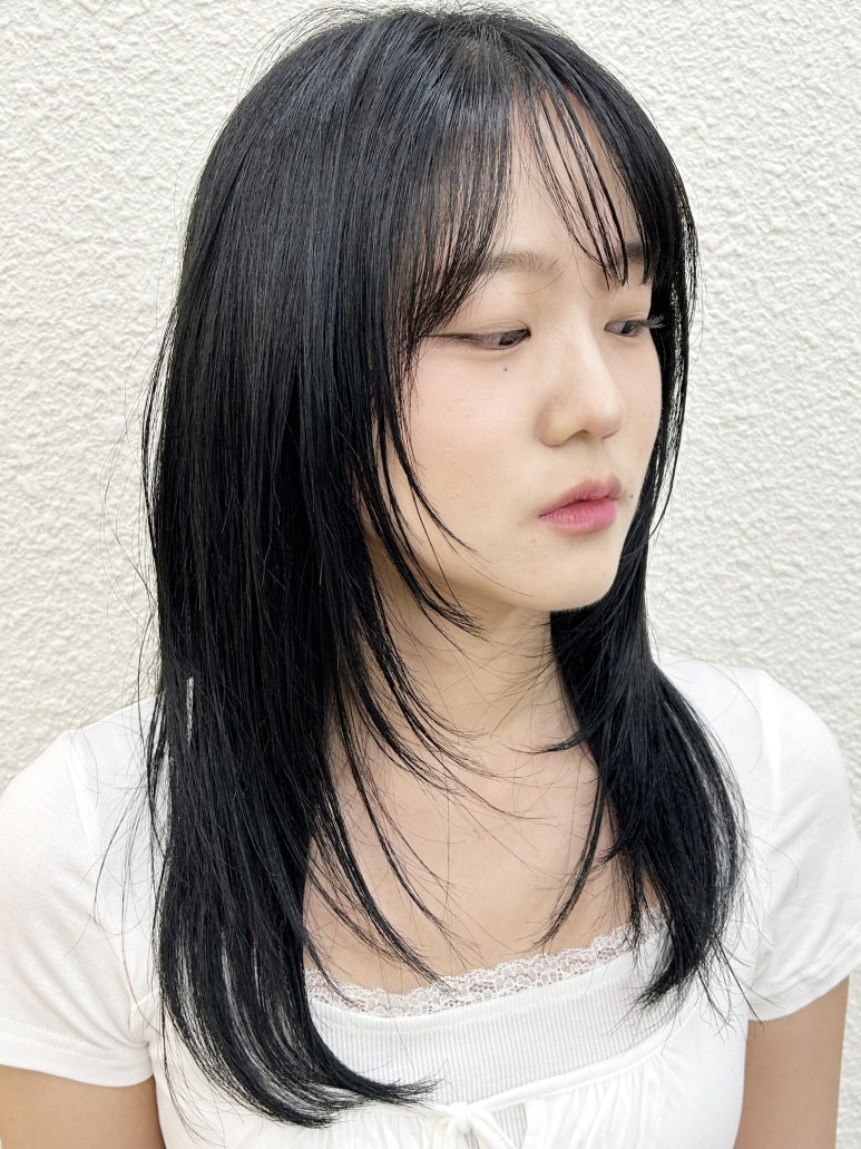 아브헤어 이미지