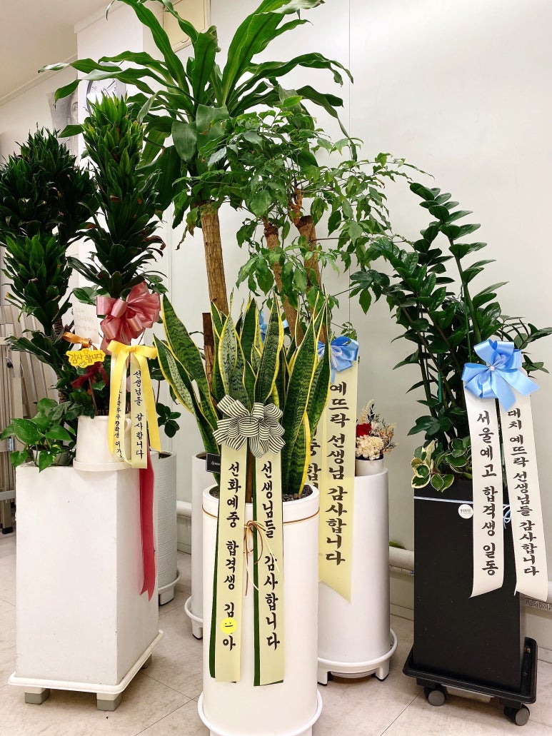 예뜨락화원 이미지