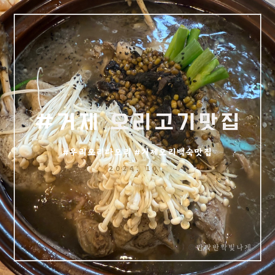 우리오리다오리 이미지