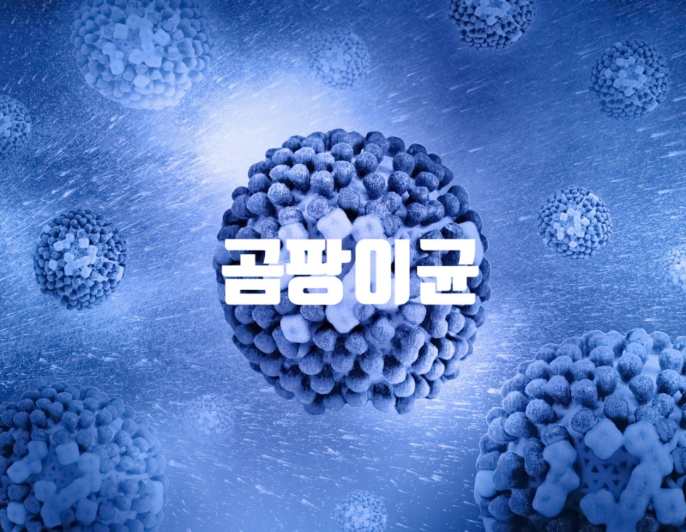 메가엠지씨커피호평 이미지