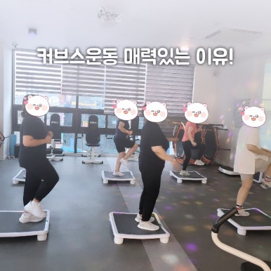 호이클럽 이미지