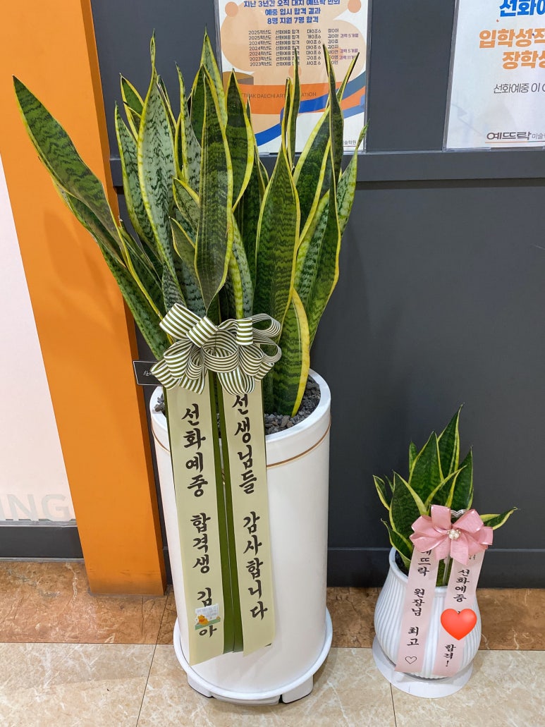 예뜨락화원 이미지
