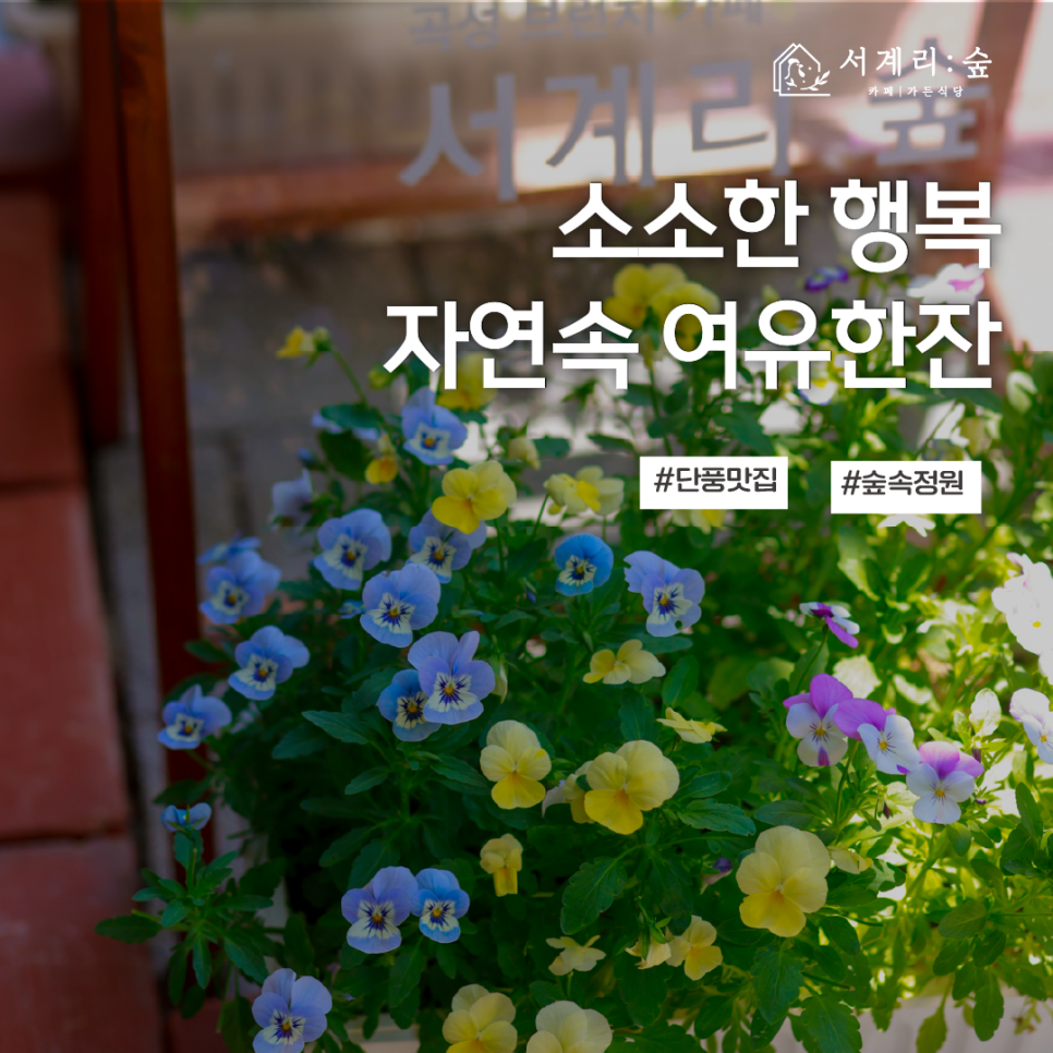 서계리숲 이미지