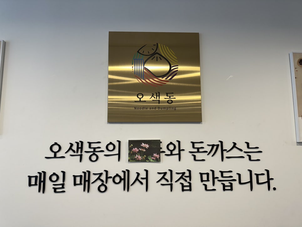 오색동임학점 이미지