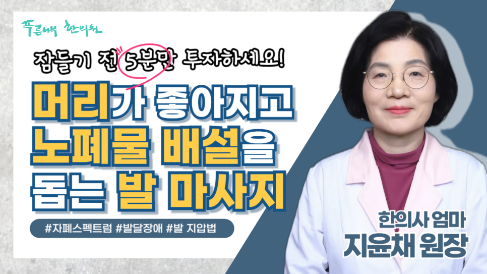푸른나무진로적성연구소 이미지
