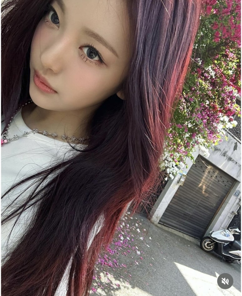 머리염색전문샵 이미지