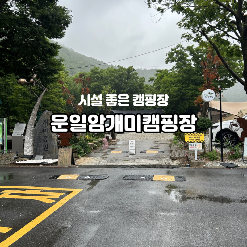 천안밤나무골가족캠핑농원 이미지