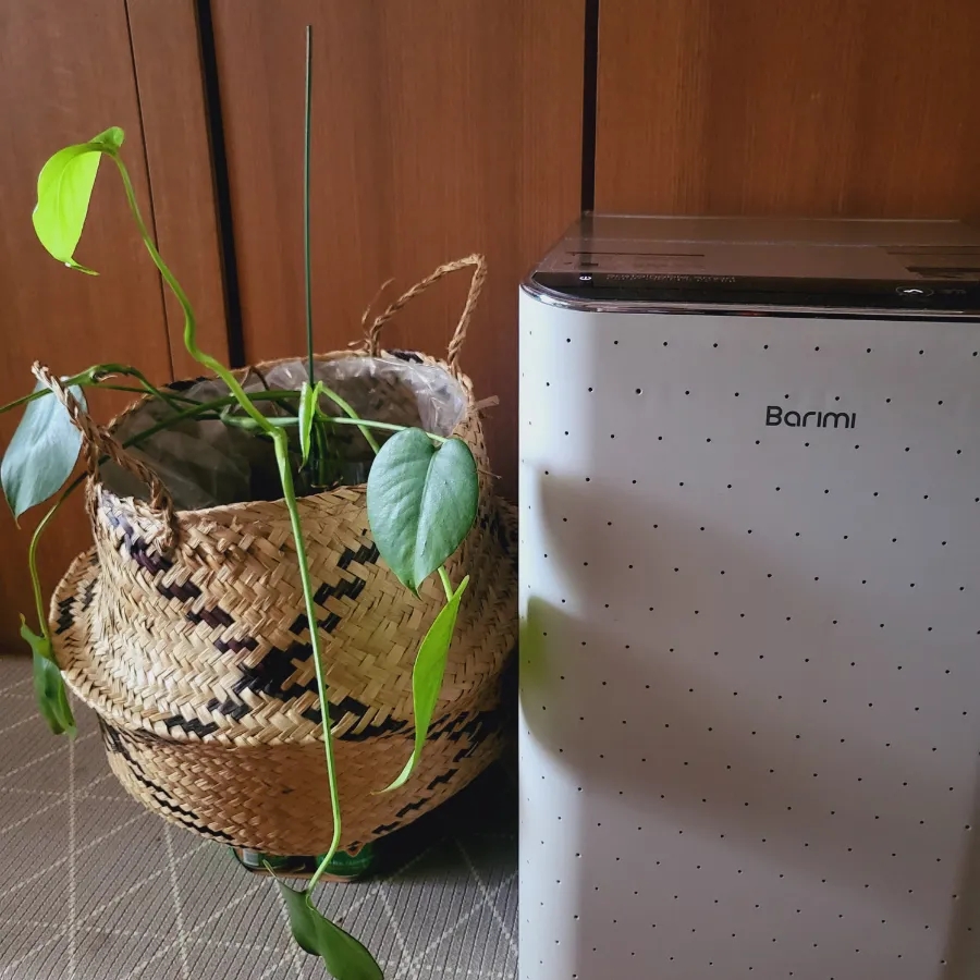 지엘쇼핑 이미지
