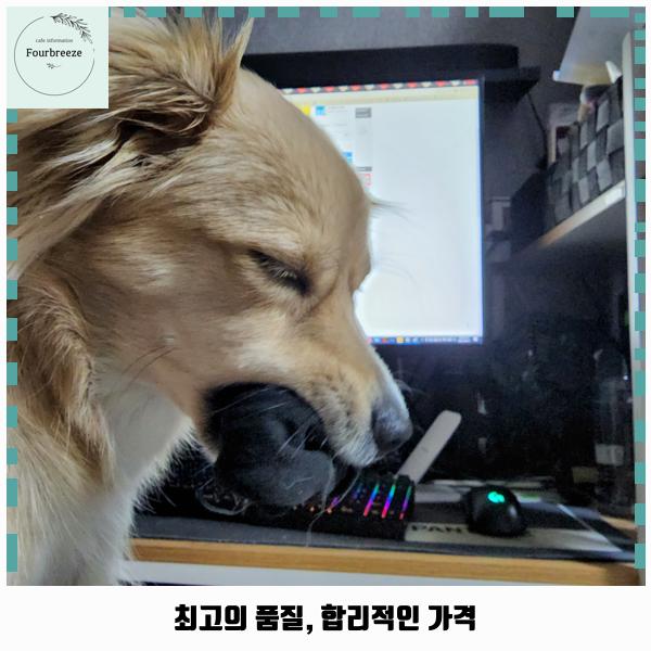 카페달빛 이미지
