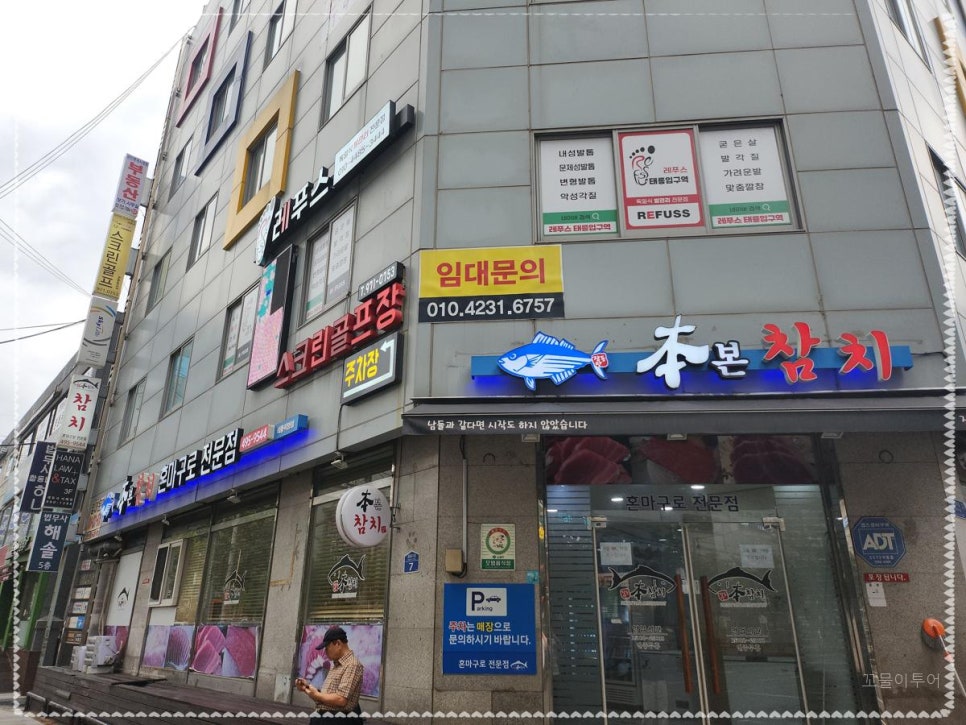 본참치 이미지