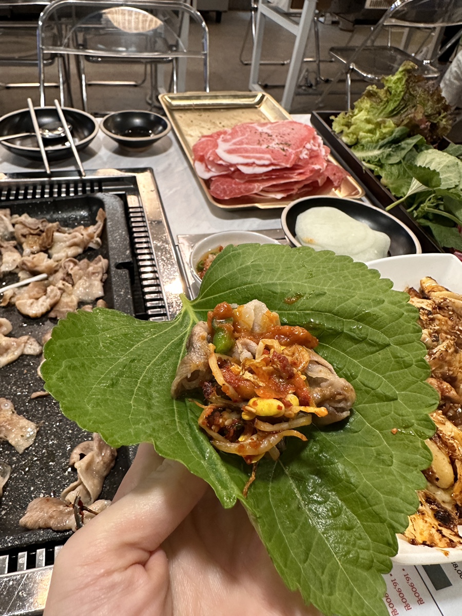 대패파 이미지