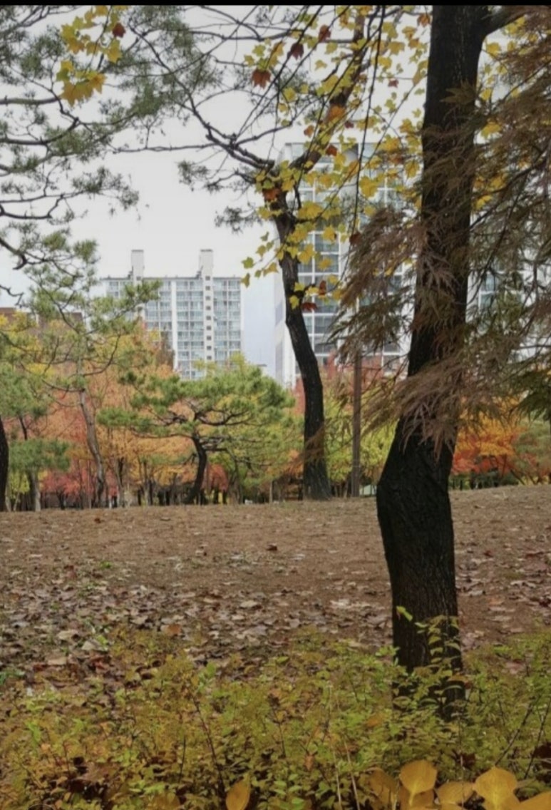 백옥세탁소 이미지