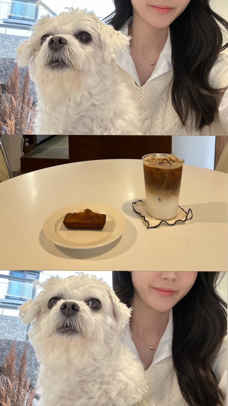 갤러리주주 이미지