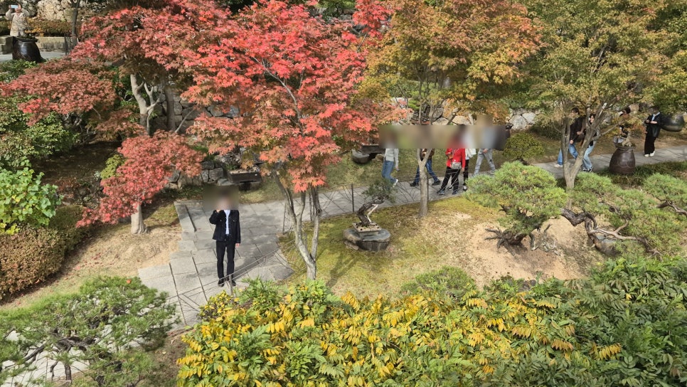 숲속분재원 이미지