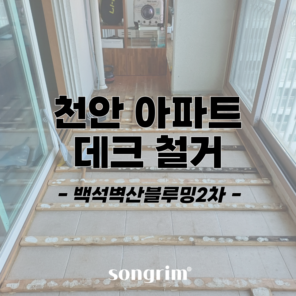 송림경기지사 이미지