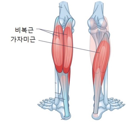 풍산휘트니스 이미지