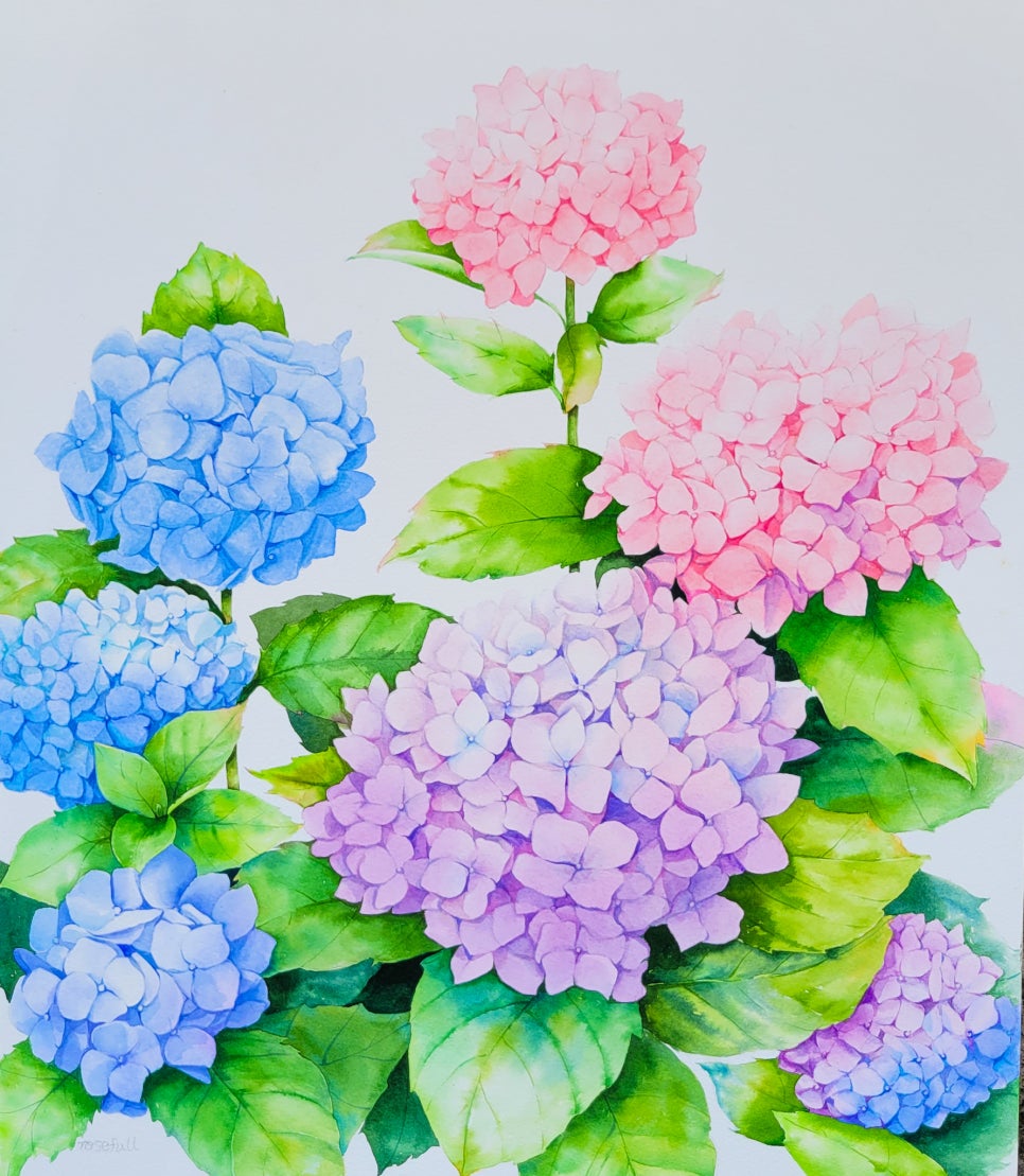 로즈잡화점 이미지