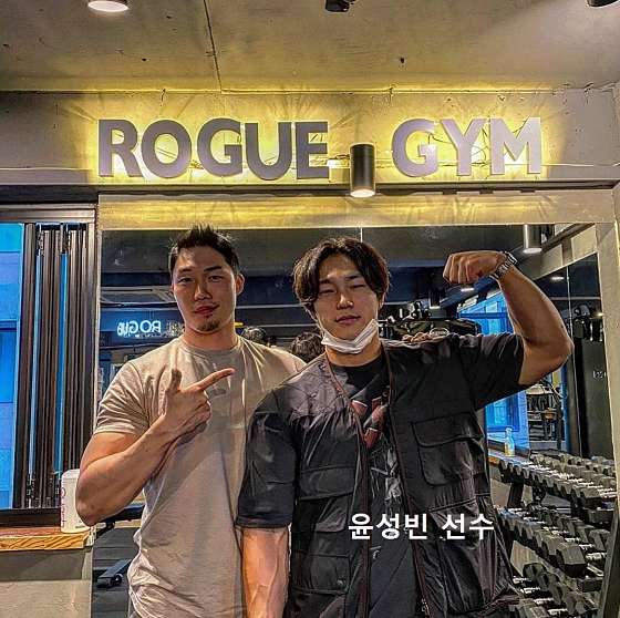 리본핏 이미지