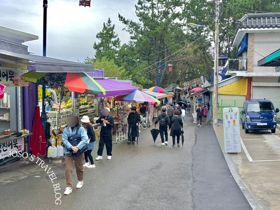 해동포차 이미지
