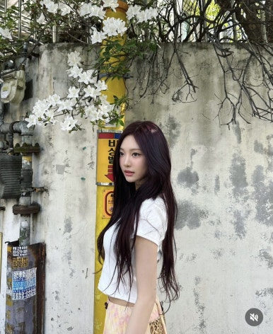 머리염색전문샵 이미지