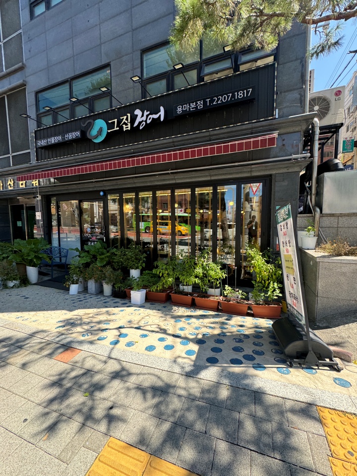 용마그집장어 이미지