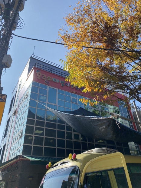 오즈의마법사 유치원 이미지