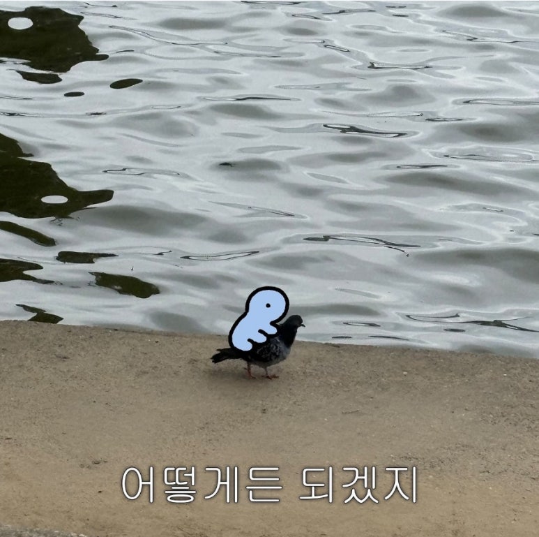 디자인블루 이미지