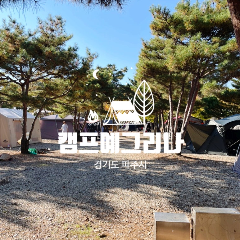 캠프예그리나 이미지