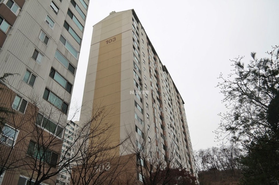 삼호주 이미지