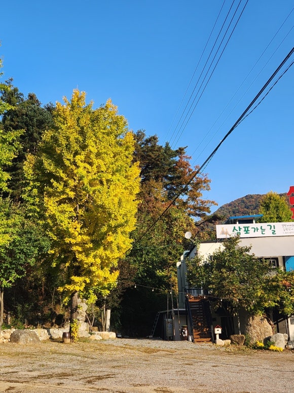 머물다삼포 이미지