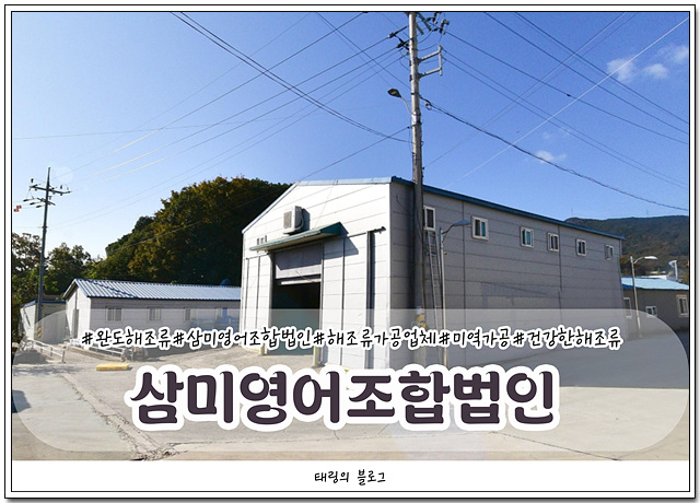 완도바다영어조합법인 이미지